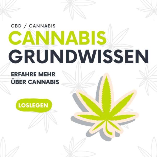 Cannabis Grundkurs